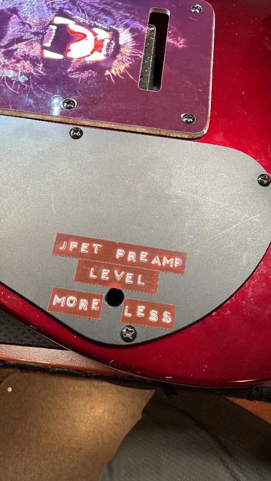 Rear cavity cover labeled JFET PRE AMP LEVEL MORE LESS